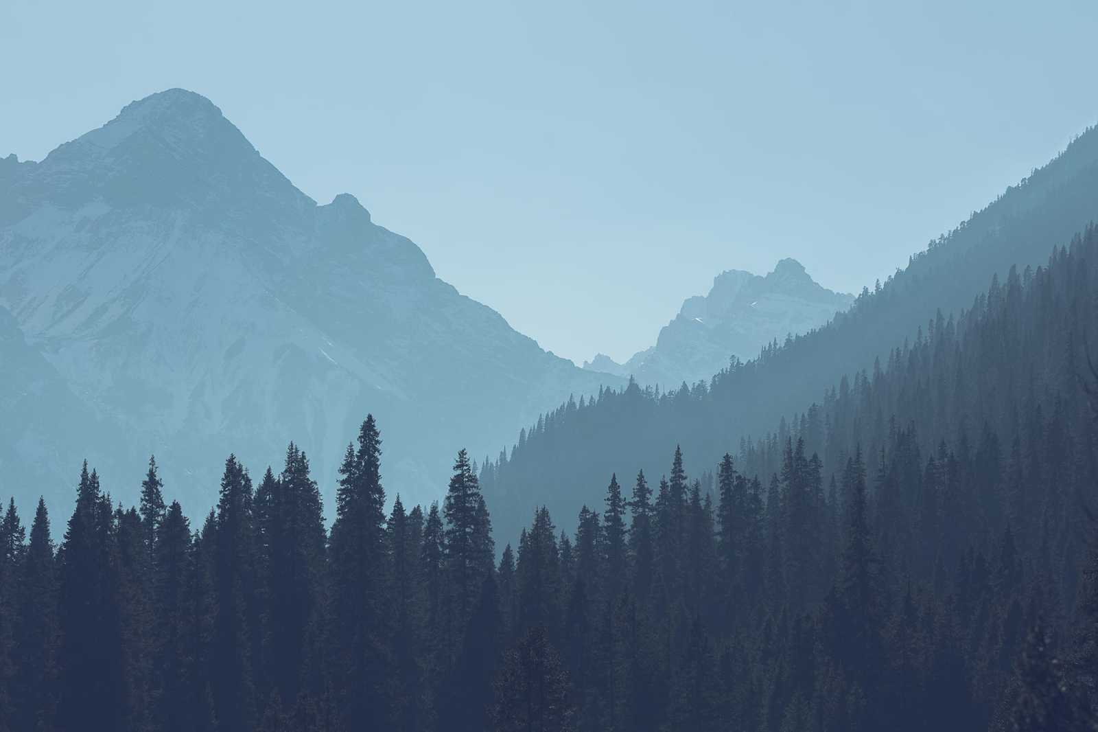 Open Source Models and How to Build Your Own AI Models: A Creator Guide